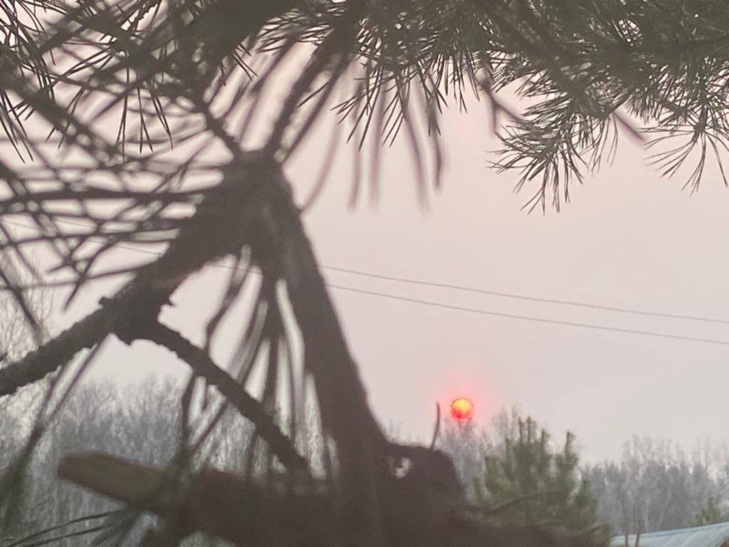 Фото В Новосибирске солнце стало кроваво-красным из-за смога 7 мая 4